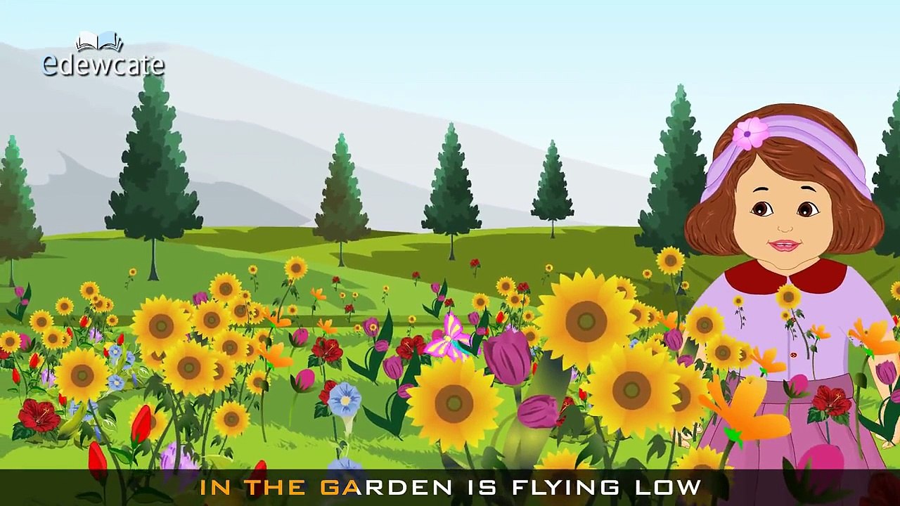 Edewcate english rhymes Fly, fly, fly the butterfly