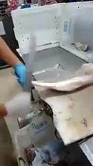 Böyle Bir Balık Kasabı Yok! Yok Böyle Bir Şey