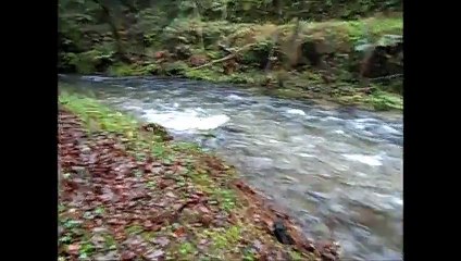 UN DÍA DE LLUVIA EN EL BATAN, POBRA DO CARAMIÑAL 2016