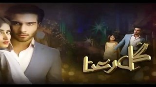 Gul E Rana Episode 11 Promo HUM TV Drama 09 Jan 2016