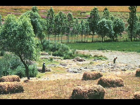 GÜNGÖR YILDIZ....Bebeğin Beşiği camdan