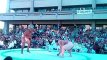 I was not expecting that ... sumo wrestlers lol