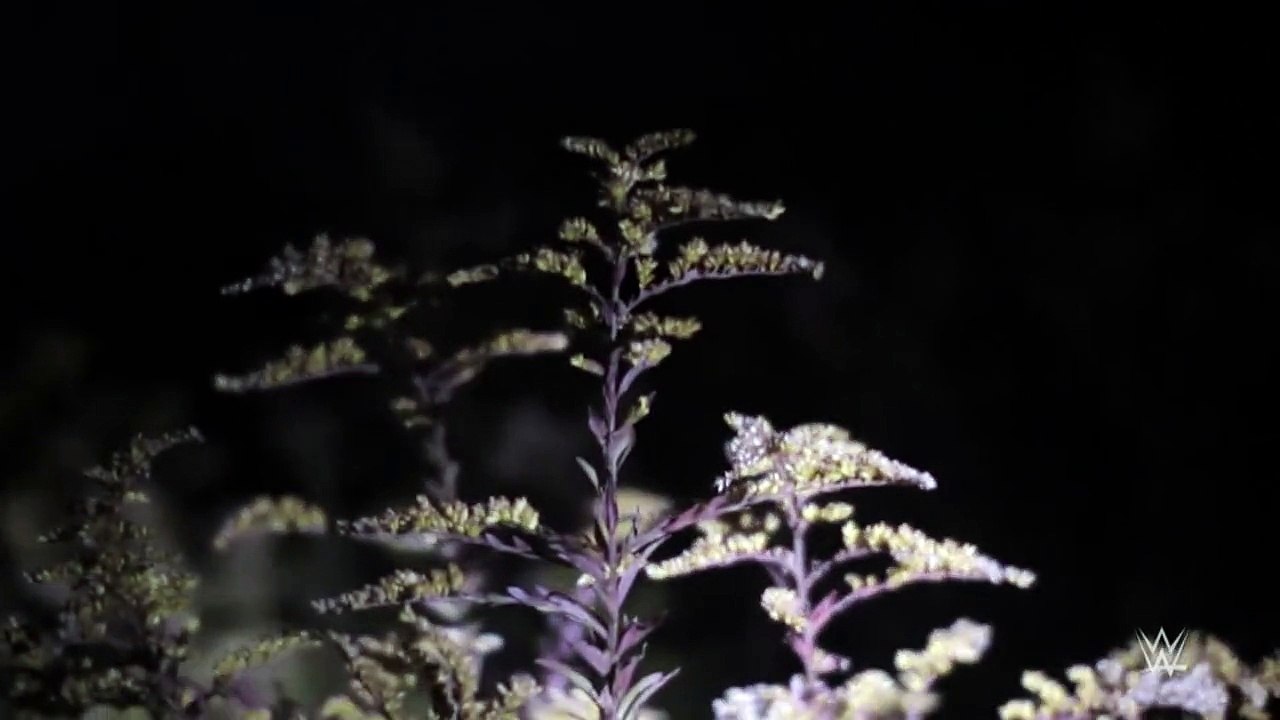 Bray Wyatt and the man in the woods- Superstar Ghost Stories WWE