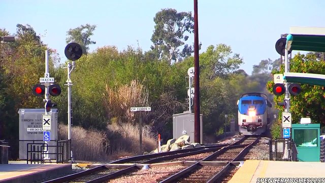 Amtrak Trains on Thanksgiving weekend (November 30th, 2013) Lots of Locations !!