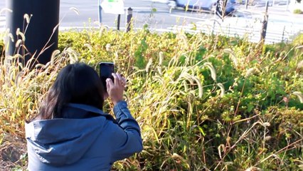 japan trip oct,2015 part 4