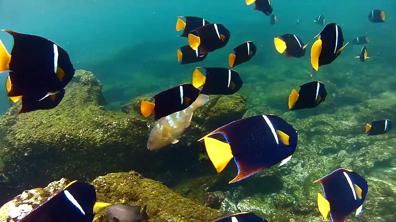 One life - Ecuador Ep 3