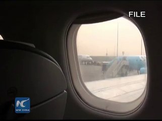 Russian passenger plane crashes in Egypt