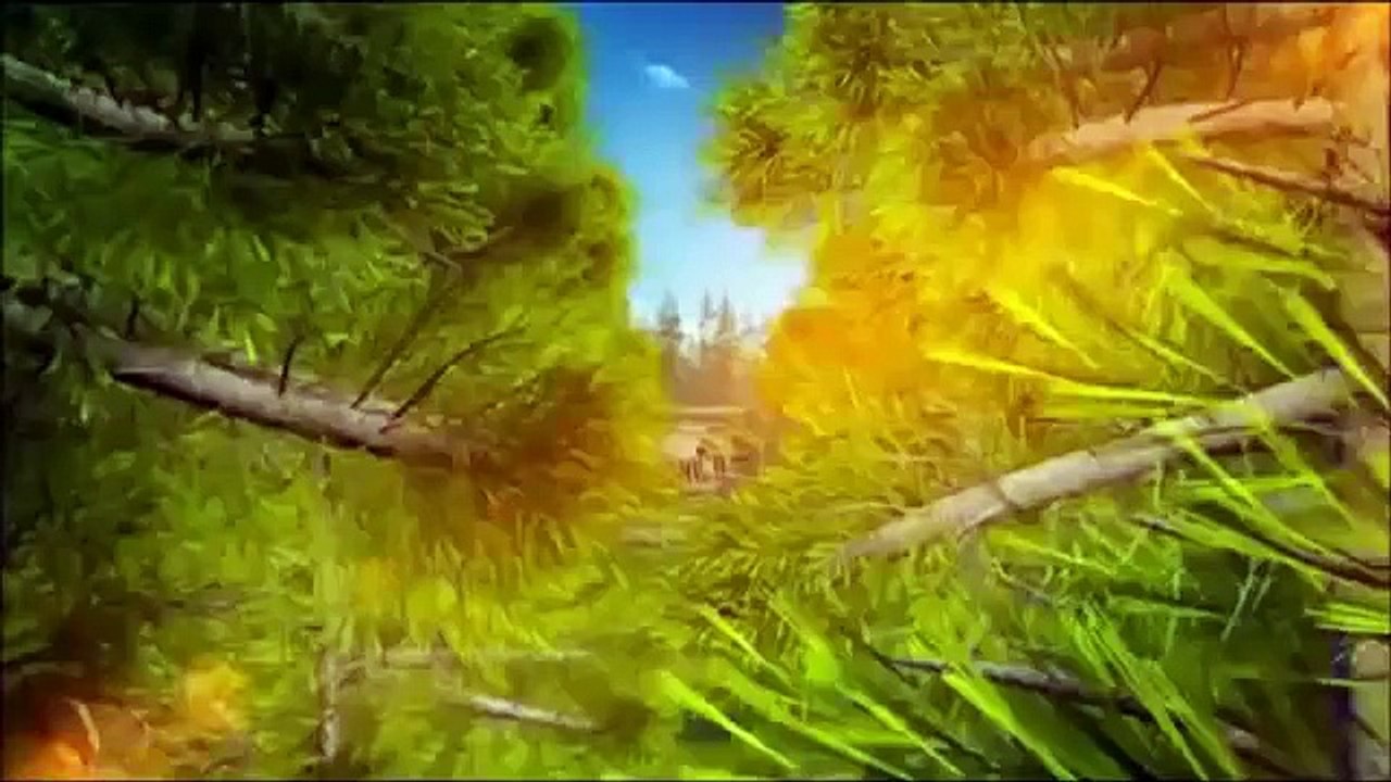Bunk´d Camp Rules Promo