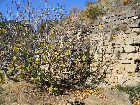 Chateaux de LASTOURS - 11