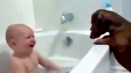 baby funny cats Epic Laugh your heart