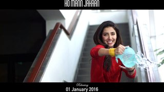 Dosti by Zoheb Hassan & Zebunnisa Bangash OST Ho Mann Jahaan