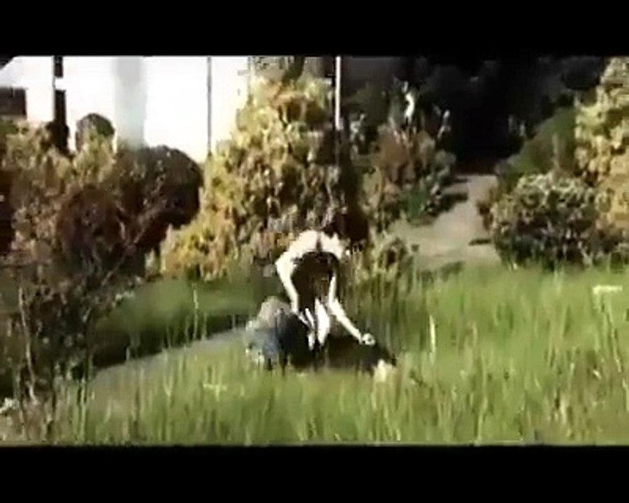 Funny video