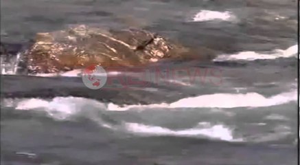 Stop HEC në Parkun e Mavrovës, S’do devijohet lumi i Radikës, ndërhyn Këshilli i Europës