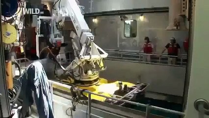 Mysteries Life of Oceans Documentary [2015]