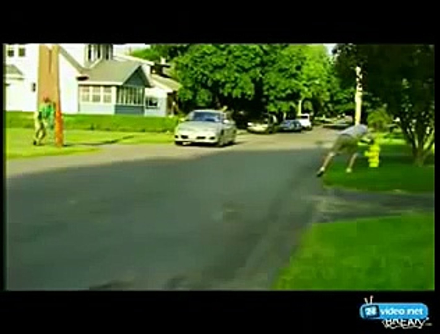 ⁣The most funny video clip, the best international comedy, laugh belly tank YouTube