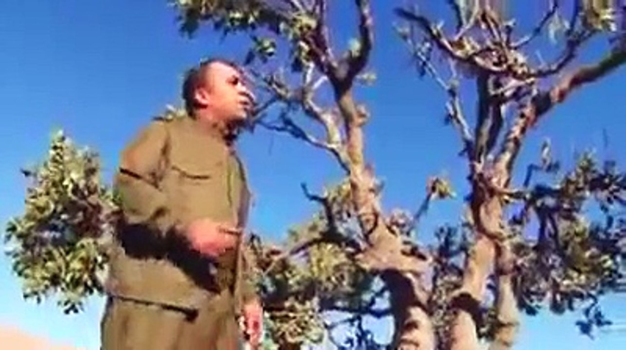 Xeyro Can - Tu Jıbir Nabe 2014 HD - KURDISH MUSIC 2014 - KÜRTÇE MÜZİK 2014 - MUZIKA KURDI