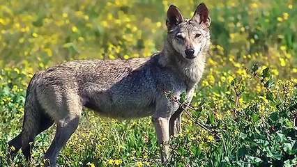 Kısa Kısa Birbirinden İlginç 18 Bilgi