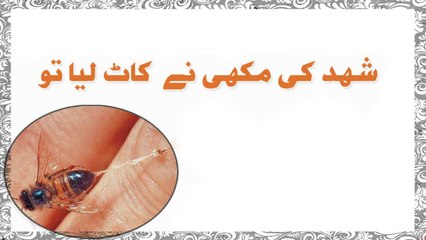 Shehad Ki Makhi Ne Kaat Liya Tou - Health Tips