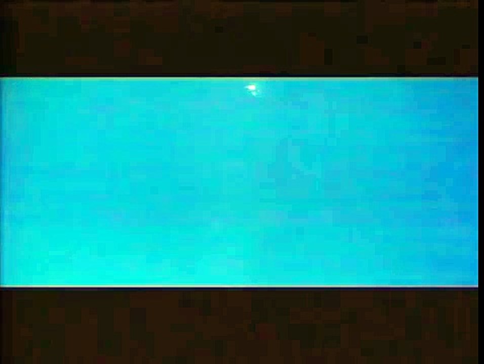 Walt Disney Pictures 1990 (LETTERBOXED)