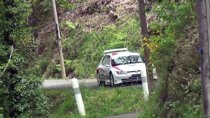 Rallye de Lozère 2015