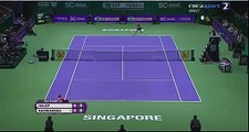 Simona Halep vs Agnieszka Radwanska WTA Finals 2015 - Amazing point