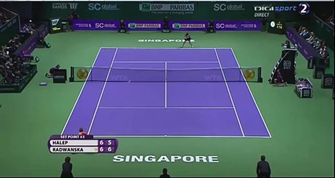 Simona Halep vs Agnieszka Radwanska WTA Finals 2015 - Amazing point