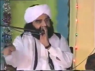 Peer Naseer ud Din Views