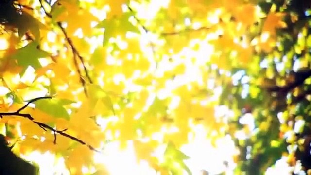 Как изменить свою жизнь и не сдаться в ожидании перемен? Ада Конде