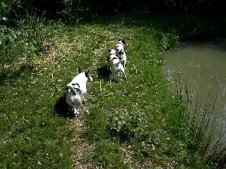 Rencontre lamotte avril 2007-vicky bosto