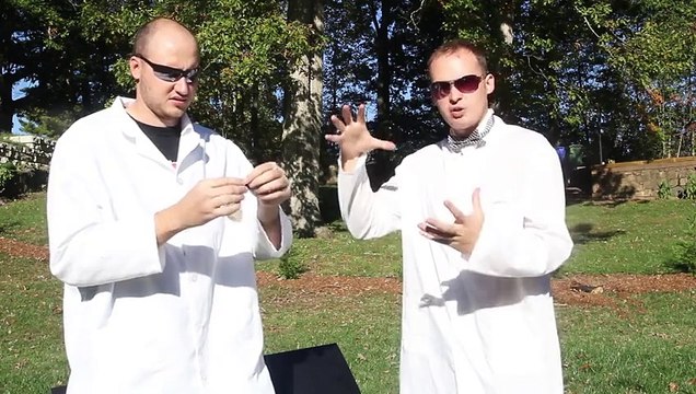 Kafasının Üst Geçide Çarpacağını Zanneden Kedi! - Komik videolar - Funny videos