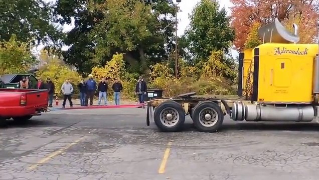 Korkudan Dile Gelen Tüysüz Kedi! - Komik videolar - Funny videos