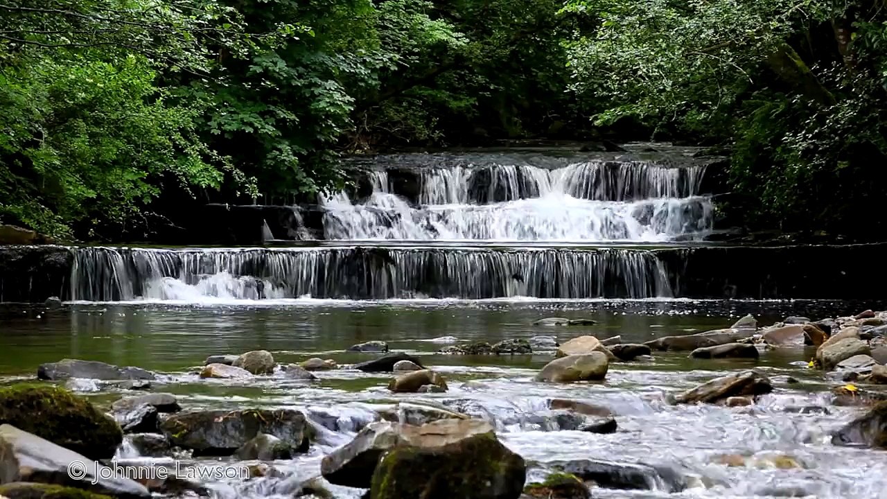 RELAXING SOUNDS FOR SLEEPING-Water Flowing-Waterfall Sound-Bird Song Noises-Nature Sounds