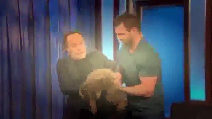 Wild Animals with Dave Salmoni