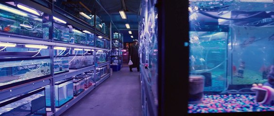 R.I.P.D. - Alternate Opening