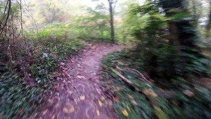 Balade à VTT au bord du Rhône - Automne 2015
