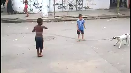 বা কুকুর ও দেখি দড়ি খেলে!!