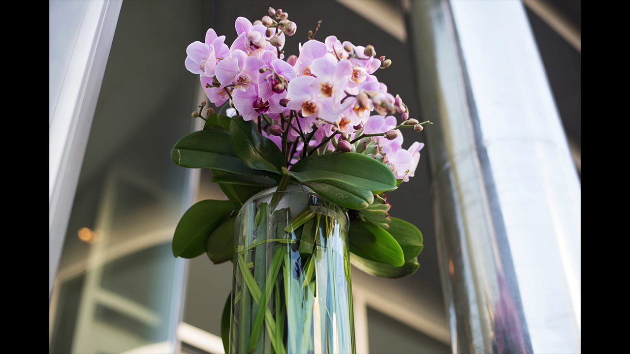 Brouche Vivacity Mer Morte