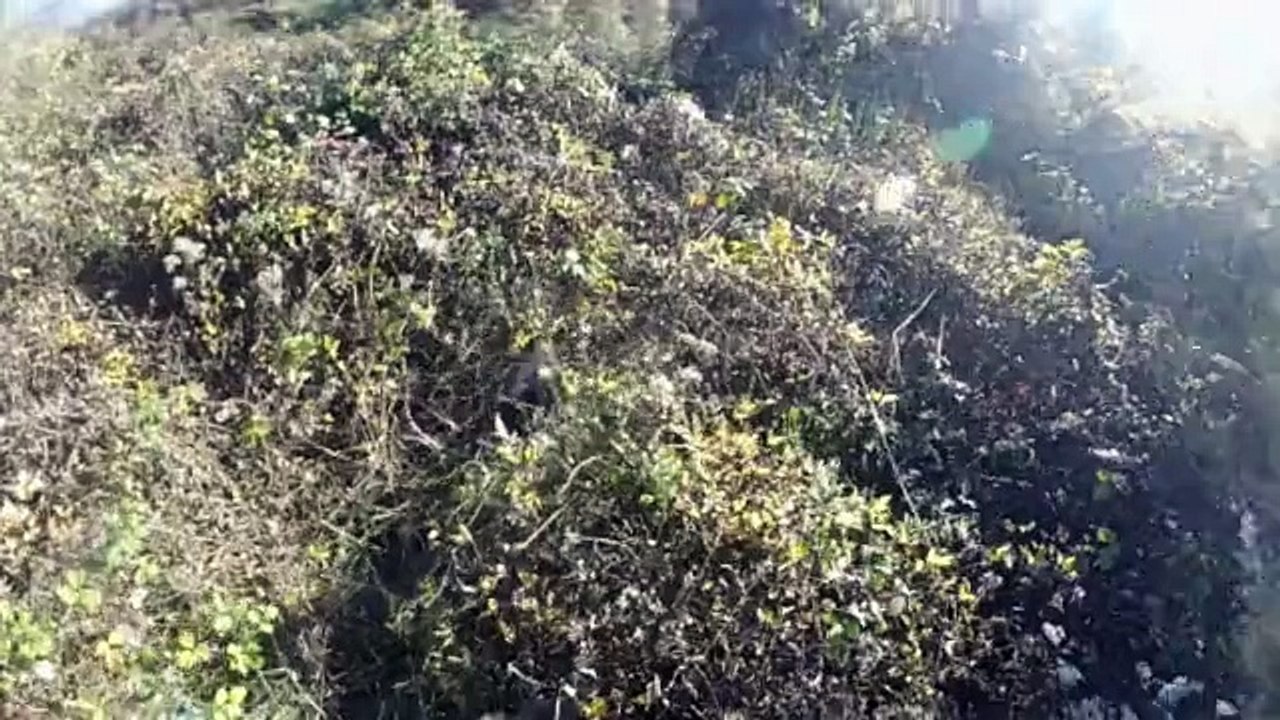 1ere journée Léia
