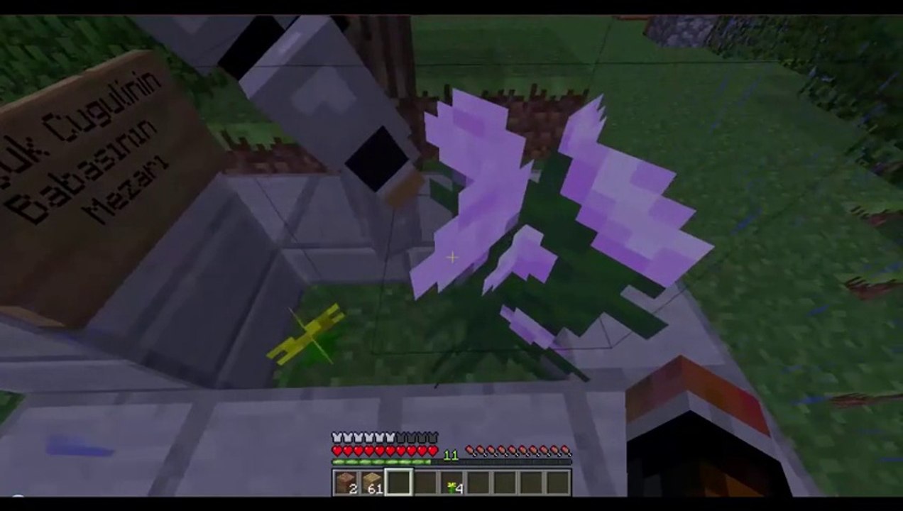 Minecraft Animations