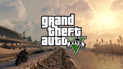 Grand Theft Auto V first person Fair game hunting mission