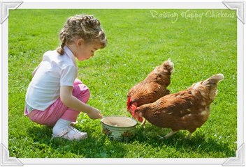 Baby feeding Chicken - Chicken Got Crazy for Food - So lovely Video