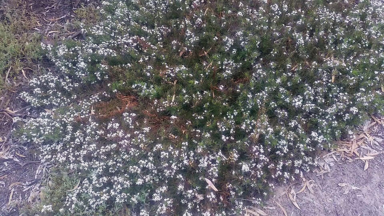 20151031_162310