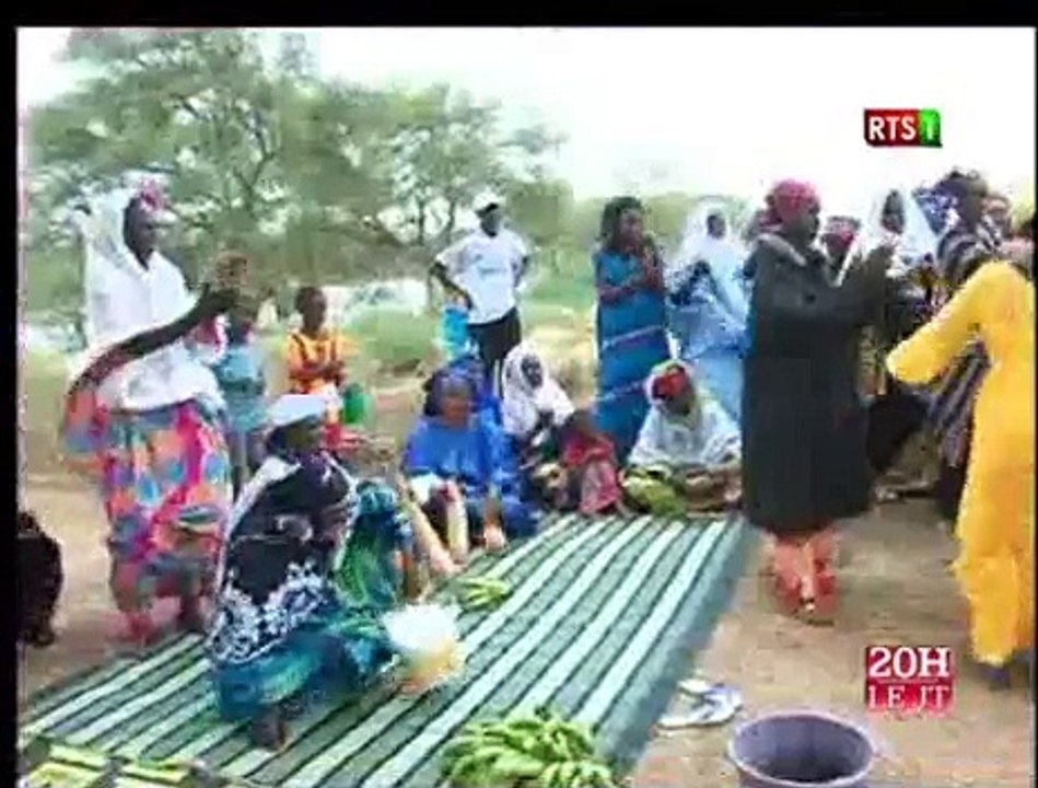 Journal Télévisé de la RTS1 du Journal du Dimanche 01 Novembre 2015 (Édition du soir)