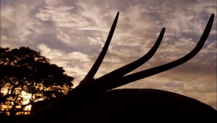 Aidan Turner as Ross Poldark