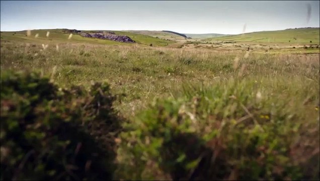 Aidan Turner as Ross Poldark