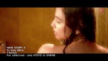 Tu Isaq Mera Song (VIDEO) - Hate Story 3 - Meet Bros ft. Neha Kakkar - Daisy Shah,