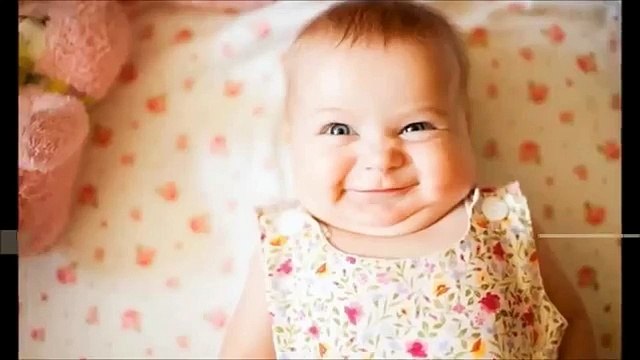 Kyckling älskar pojken och tupp svartsjuk. Kul med barn och djur