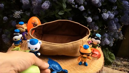 下载视频: oeufs surprises eggs the octonauts octonautas oktonauten jouets pour enfants Octonauts Toys - jouets octonauts - Cbeebies - Octonautas -  바다탐험대 옥토넛