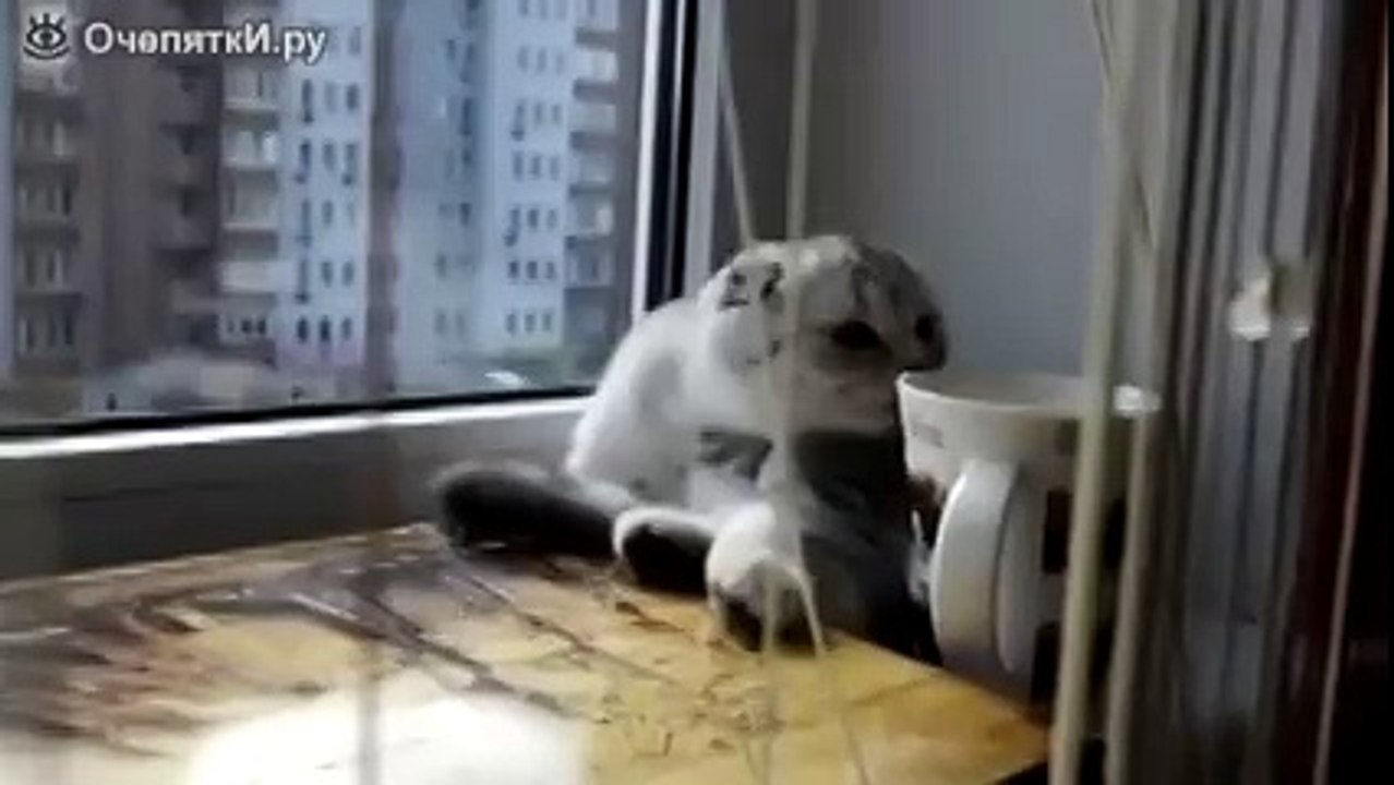Ой! Я ненарочьно)