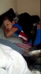 Он сильно скучал по уехавшему другу